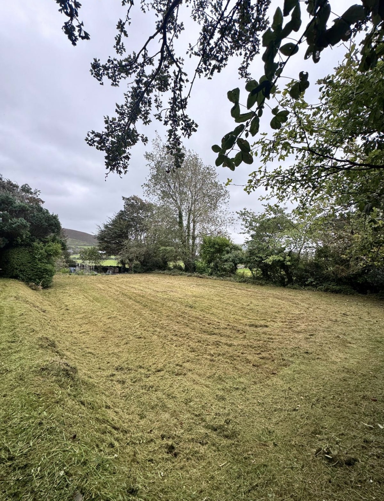 Large grass area after cutting with a tidier finish